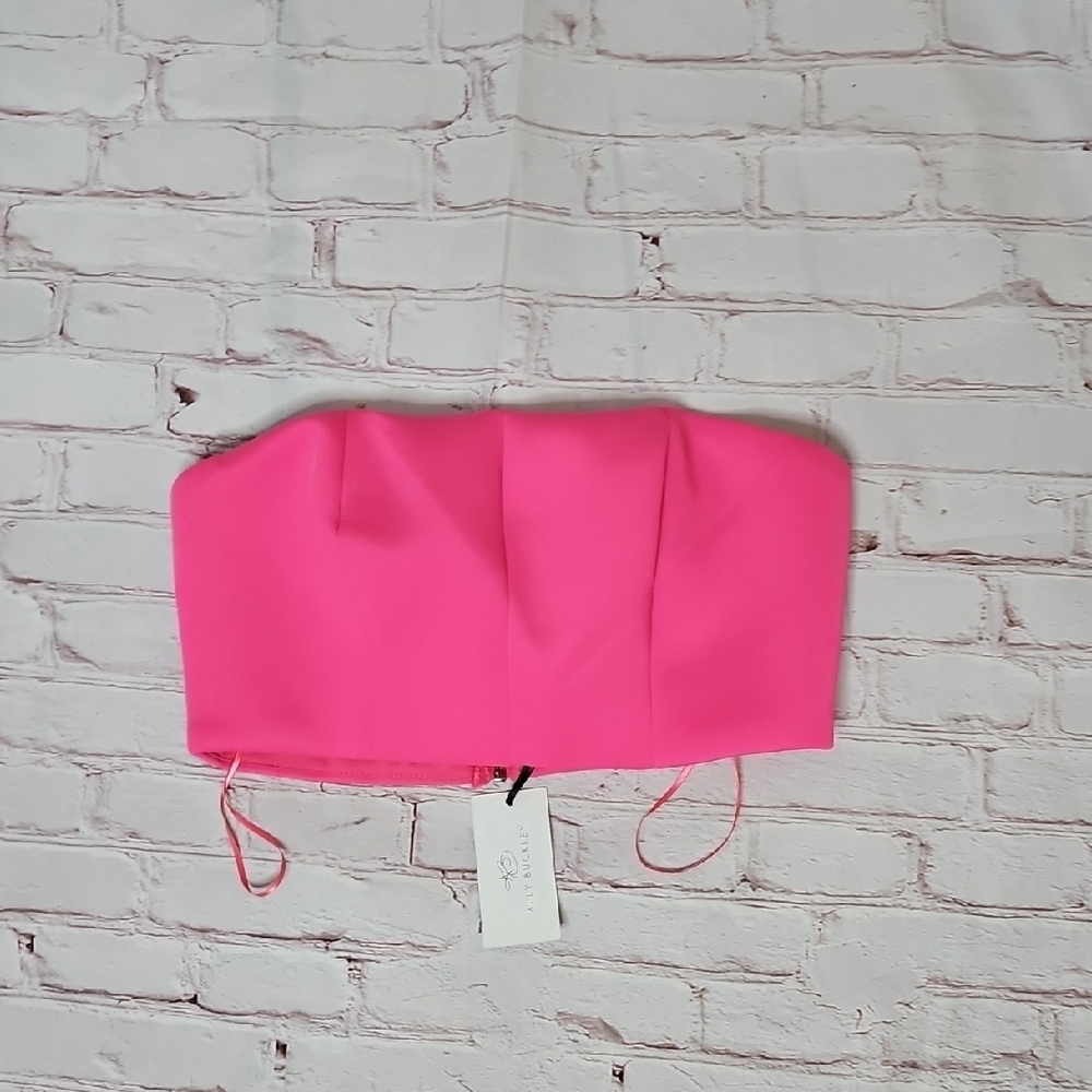 Ally Buckley/The Ally B Collab Hot Pink Scuba Sleeveless Crop Bandeau Zipper Top